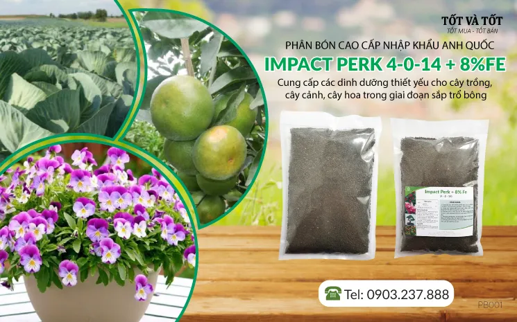 Phân bón nhập khẩu Anh Quốc: Impact Perk 4-0-14 + 8% Fe